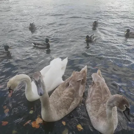 Noclegi Nowe Warpno Сasa de vacaciones Nowe Warpno