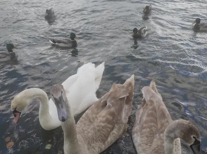 Domek Letniskowy 28M2 Σπίτι διακοπών Nowe Warpno